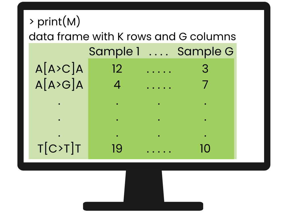 A graphic showing an example mutational catalog matrix on a computer screen. The rows are labelled with mutation types and columns are labelled "Sample 1",...,"Sample G".